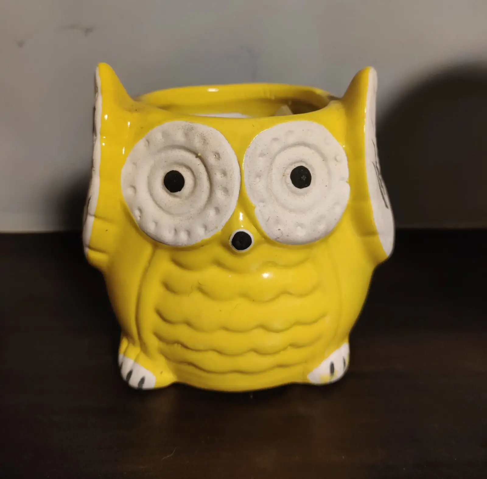 Ceramic owl Planter