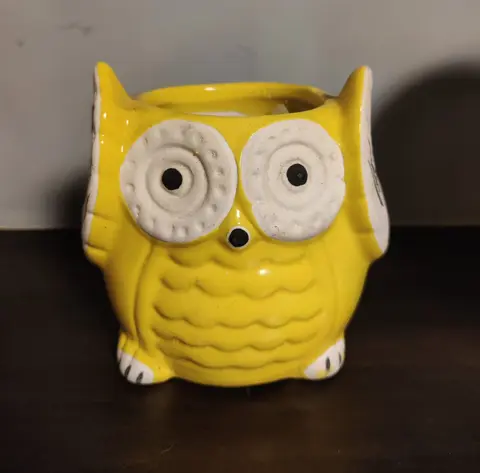 Ceramic owl Planter