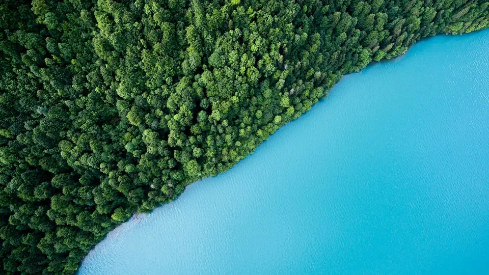 Aerial view of a dense green forest meeting a turquoise lake