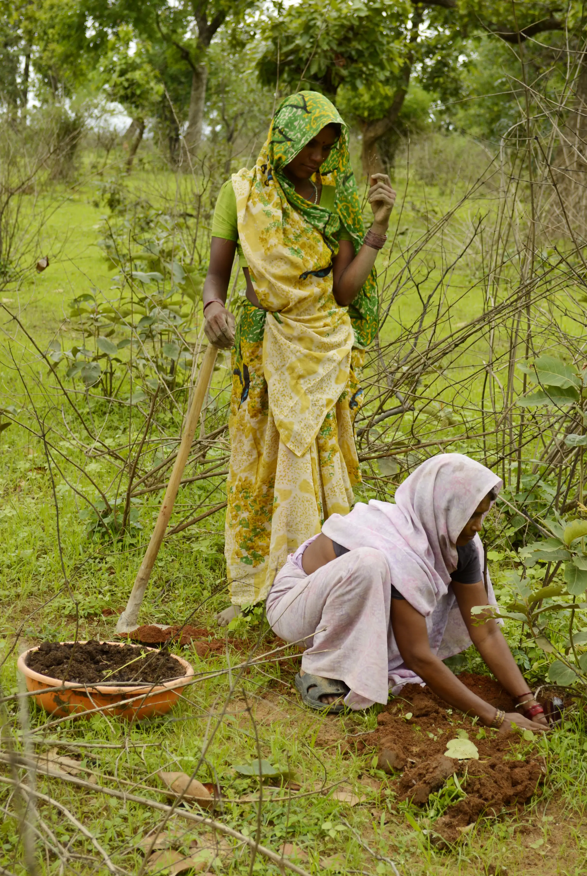 Two women planting a tree sapling together in a green field in Umaria district, Madhya Pradesh