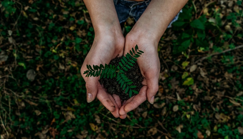 One Plant One Life challenge