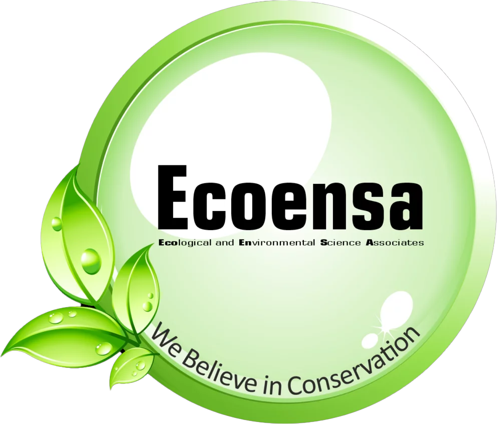 Ecoensa Logo
