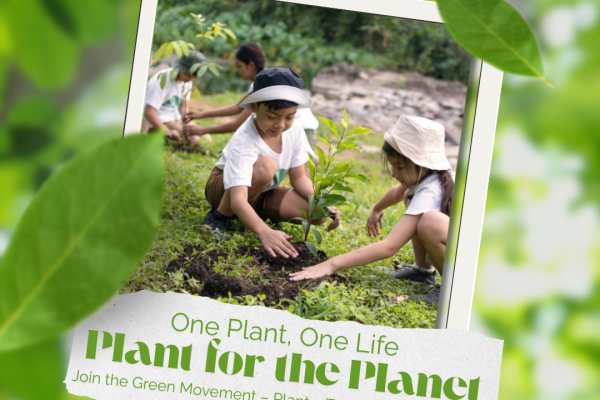 Green and White Tree Planting Environmental Poster Social Media Instagram Post